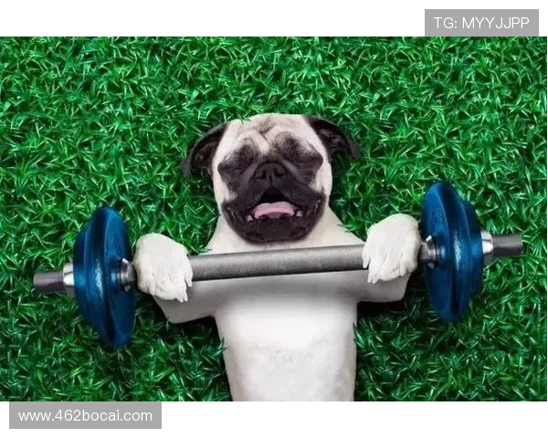 5. 健美比赛几种类型的比较与选手准备建议